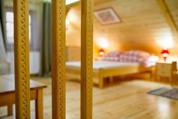 Фото номера Вилла Делюкс Виллы Zacisze Pod Lipą г. Андрыхув 53